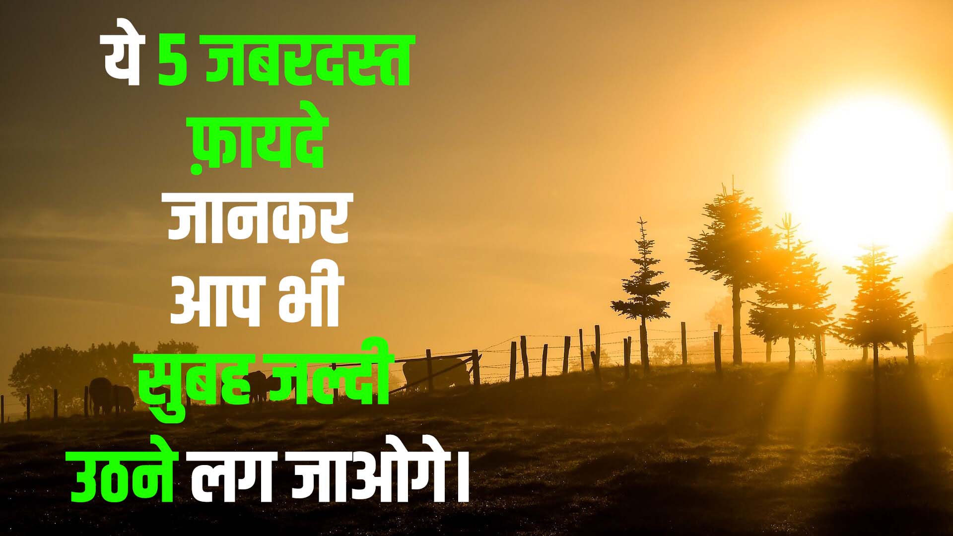 How to wake up early In hindi, (सुबह जल्दी उठने के 5 जबरदस्त फायदे)