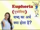 Euphoria Meaning
