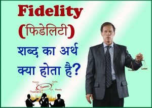 Fidelity meaning