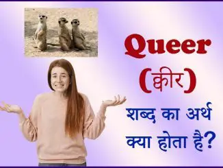 Queer meaning in hindi