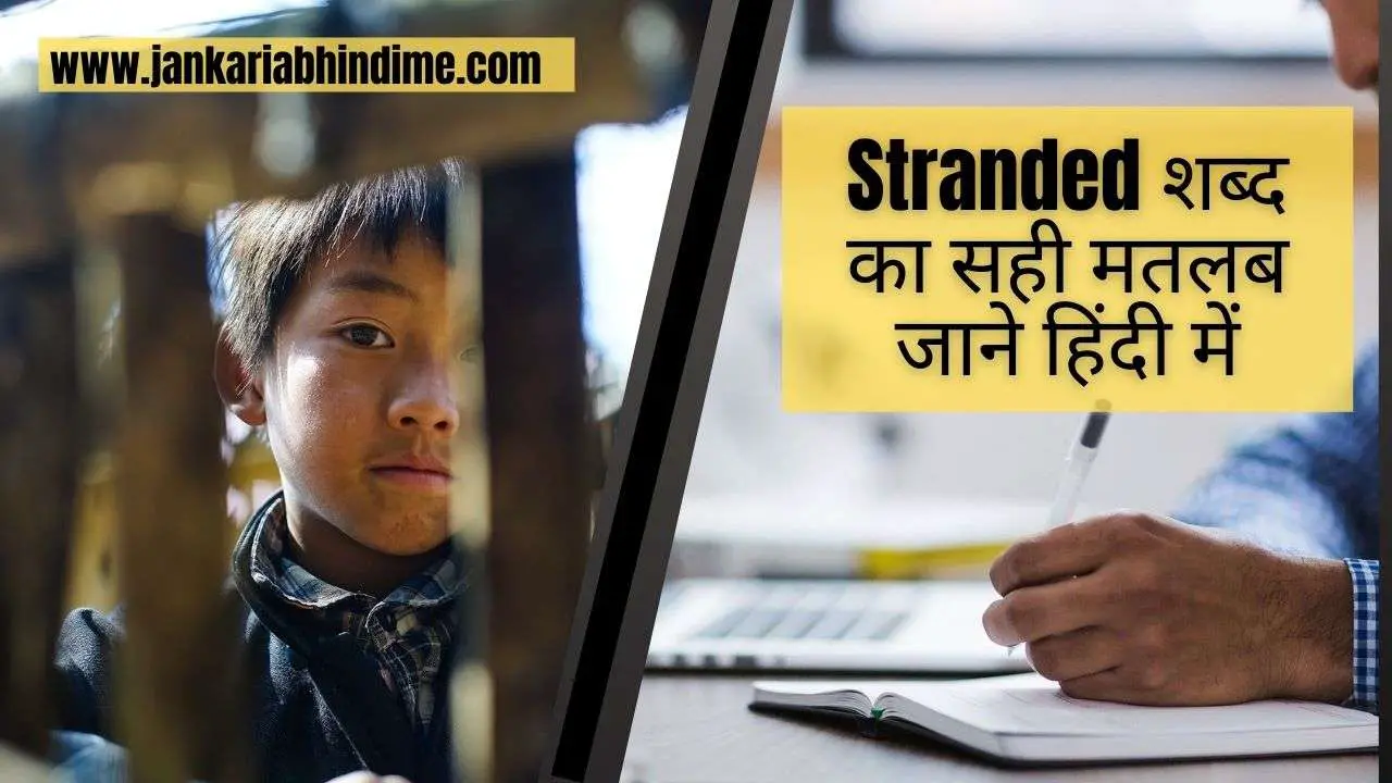 stranded-meaning-in-hindi-88-march-2024