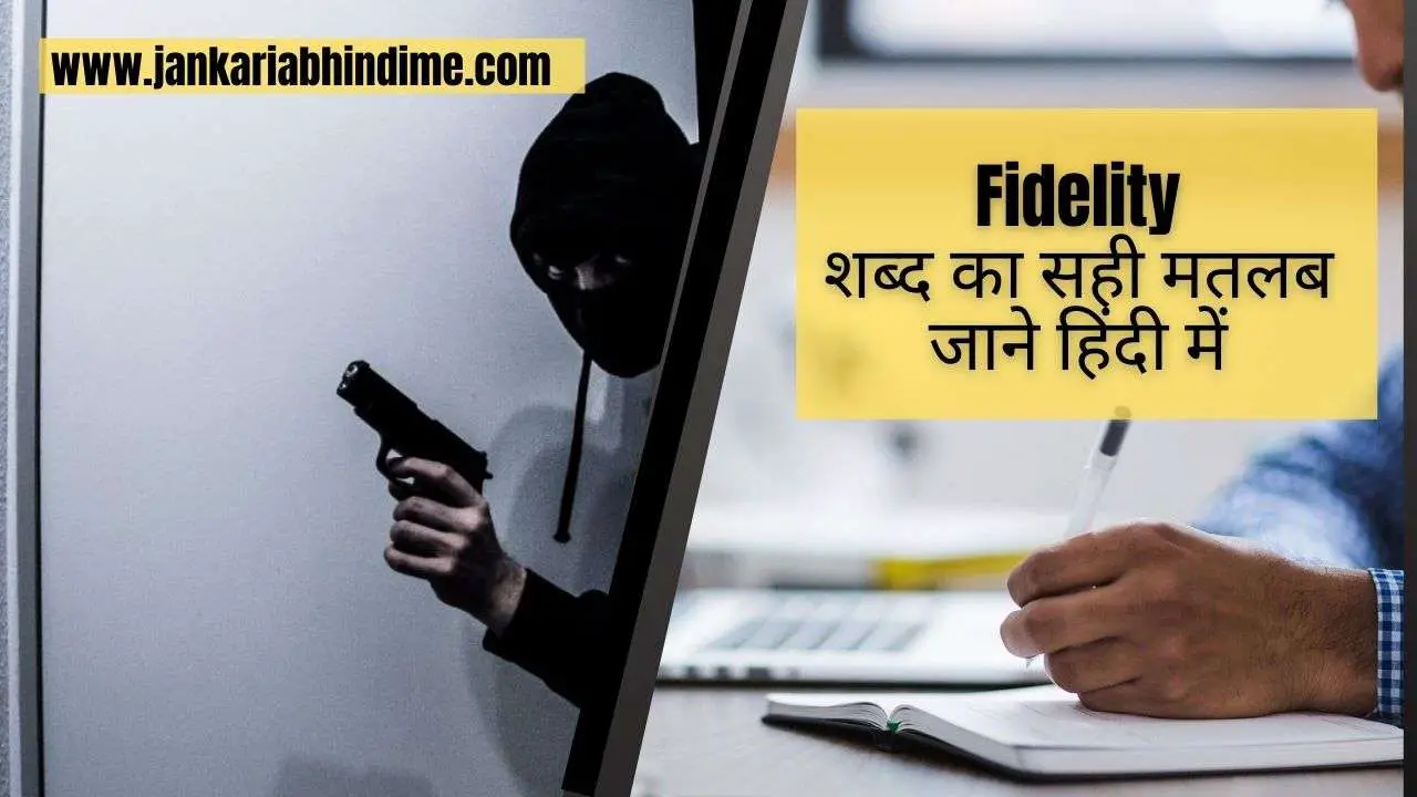 fidelity-meaning-in-hindi-70-jan-2024