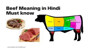 beef meaning in hindi punjabi urdu english