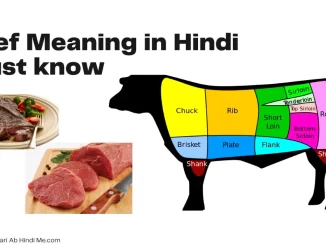 beef meaning in hindi punjabi urdu english